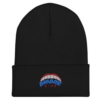 BBG Exclusive Beanie
