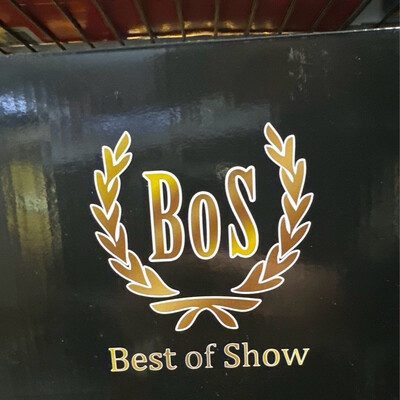 Best Of Show