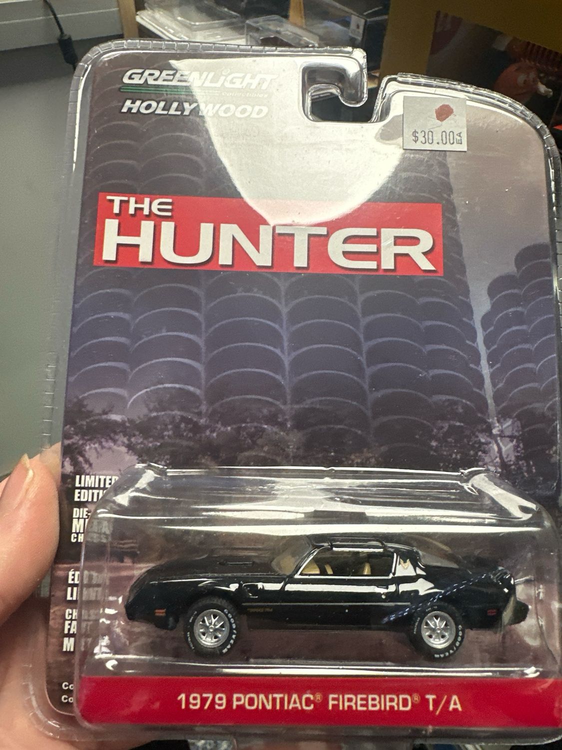 1979 Pontiac Firebird T\A THE HUNTER