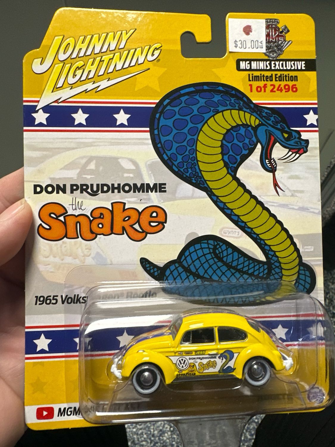 1965 Volkswagen Beetle SNAKE
