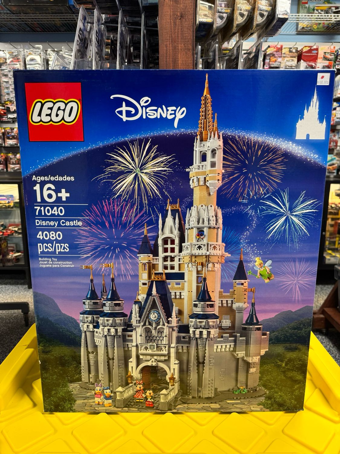Disney Castle