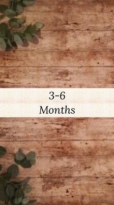 Girls 3-6 months