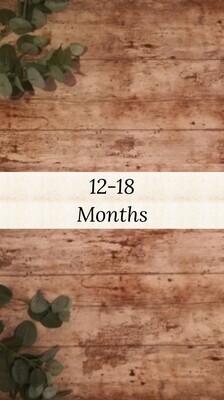 Girls 12-18 months