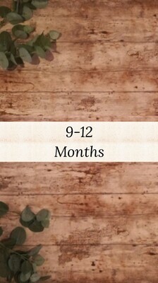 Girls 9-12 months