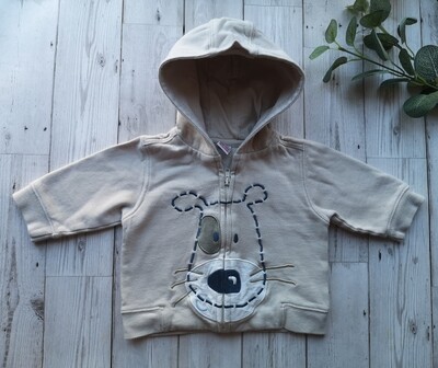 Boys zip up hoodie