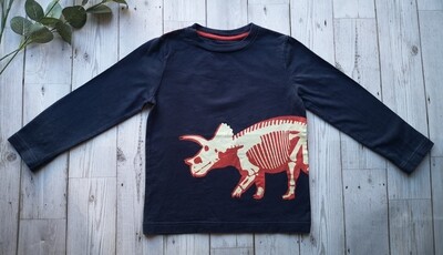 Boys long sleeved top