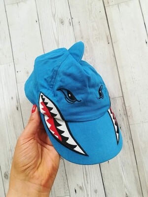 Boys cap (mountain warehouse) 