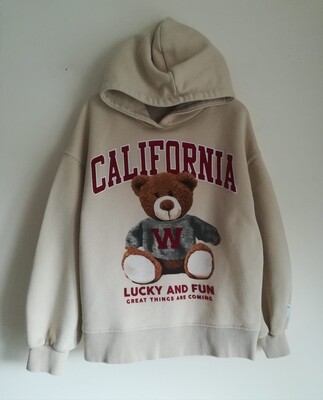 Girls hoodie from Zara