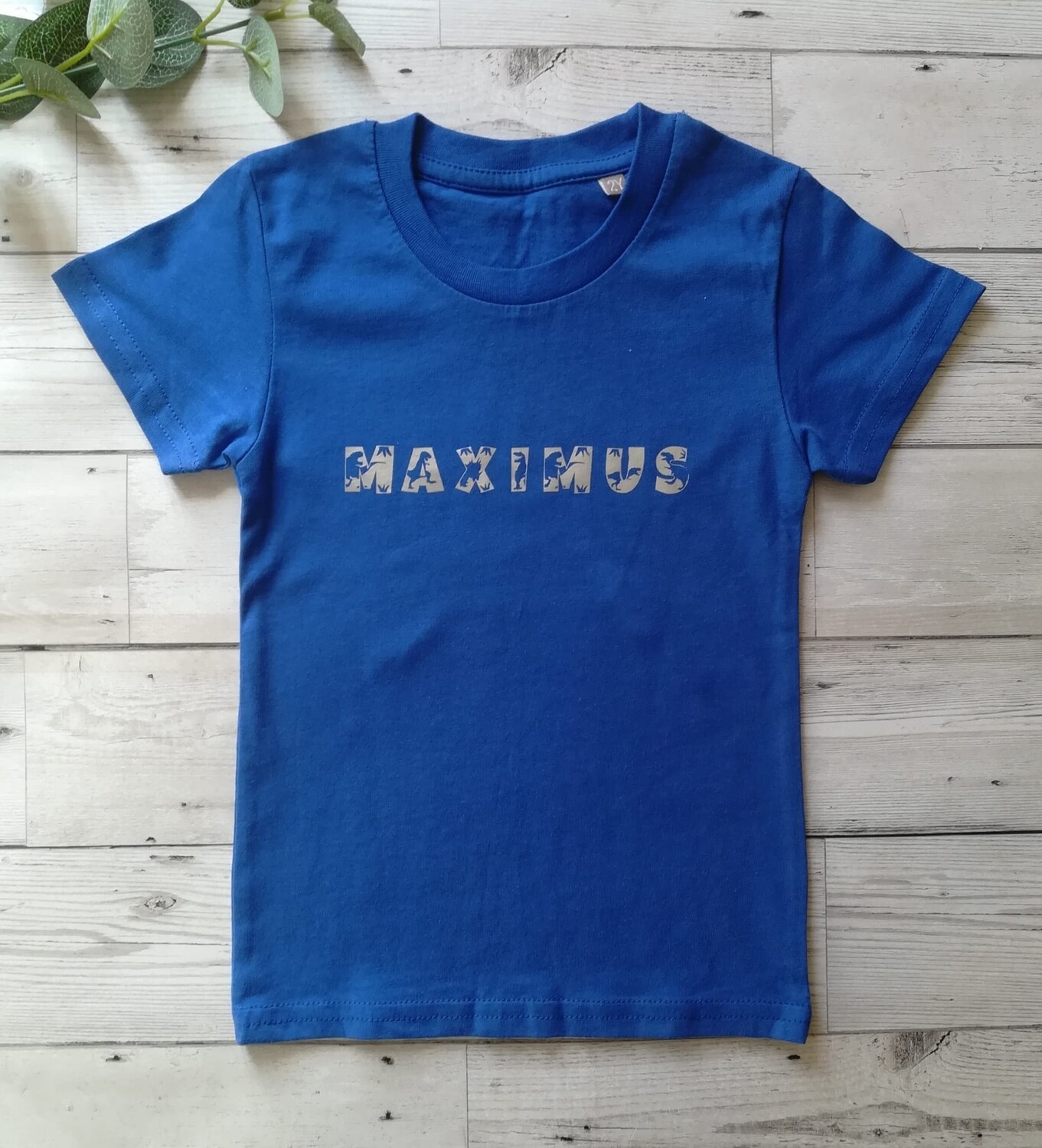 Boys tshirts