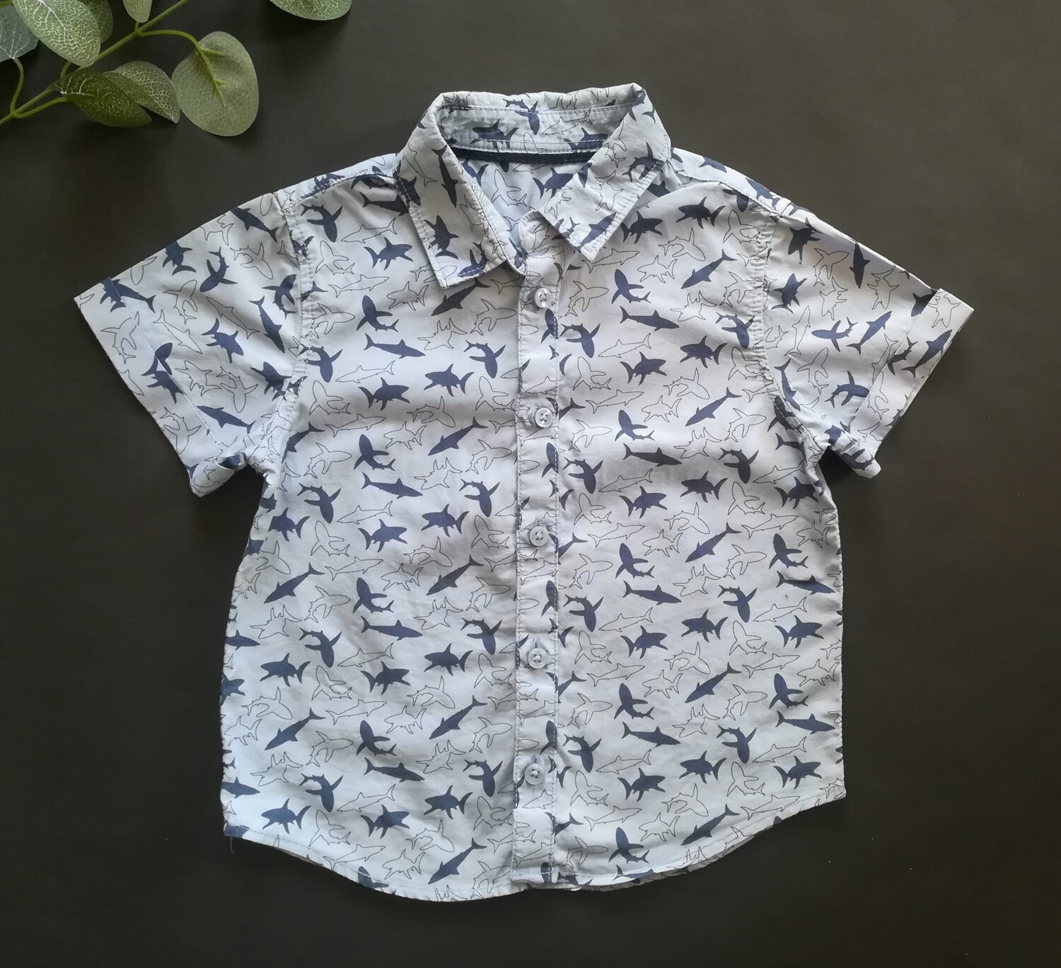 Boys shirt