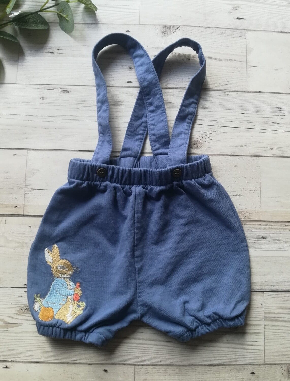 Boys shorts with braces (Peter Rabbit)