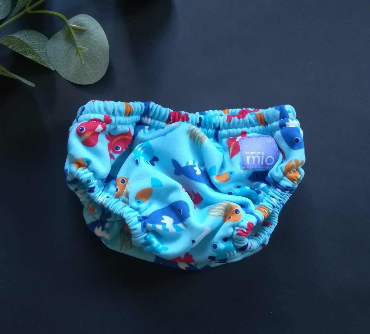 Boys swim pants