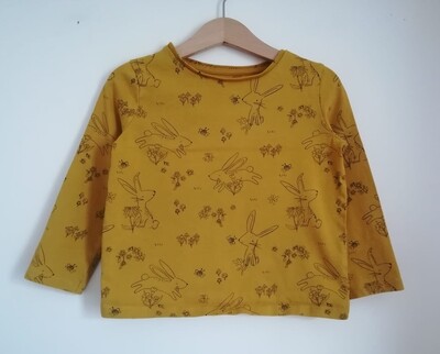 Girls long sleeved top