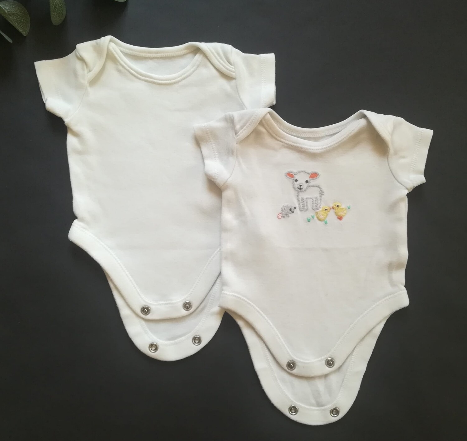 2x bodysuits