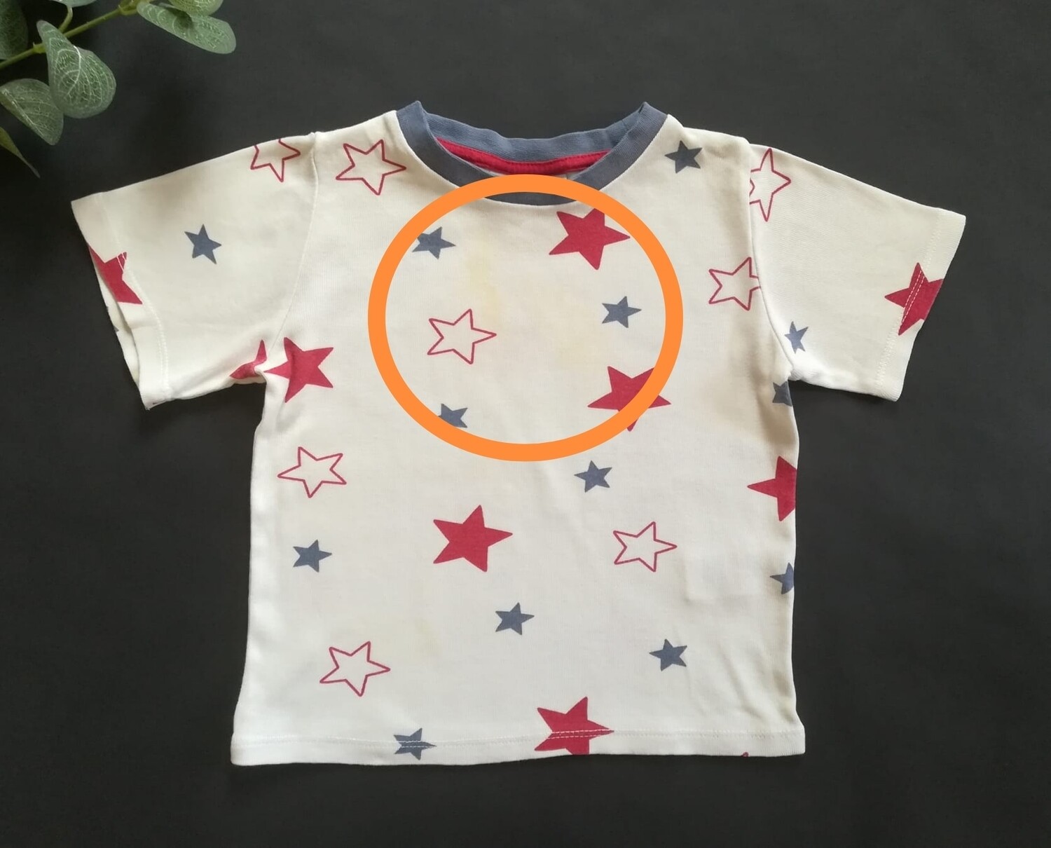 Boys tshirt from the little white company 