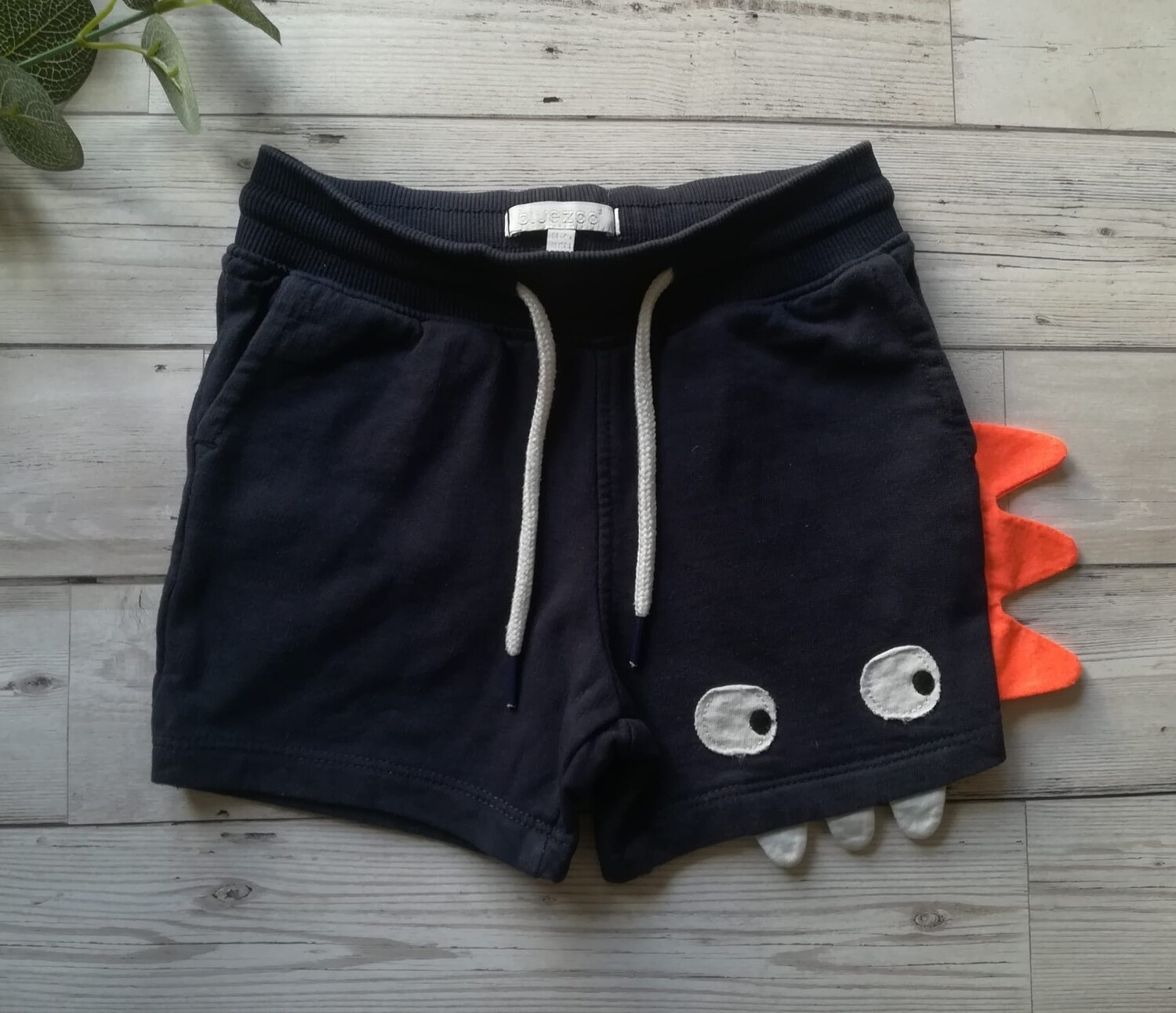 Boys shorts (bluezoo) 
