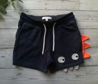 Boys shorts (bluezoo) 
