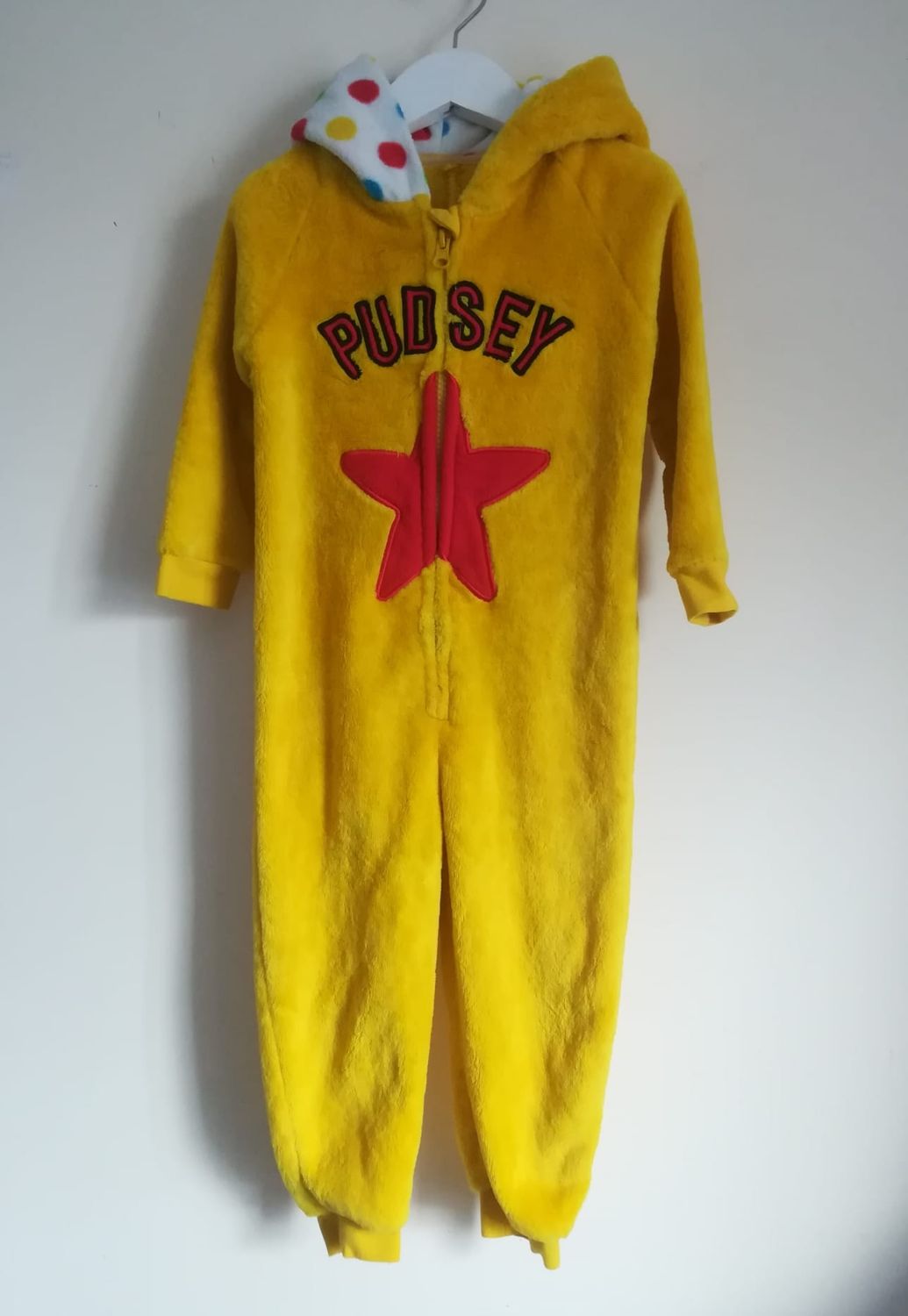 Oneself (Pudsey) 
