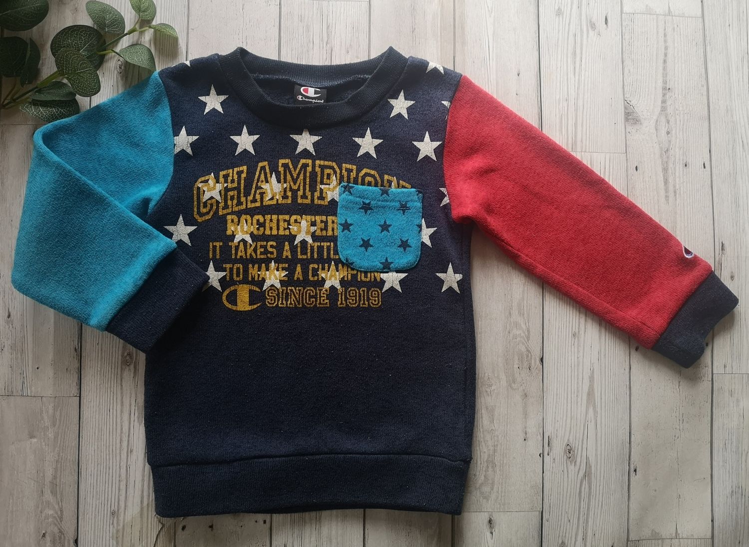 Boys jumper (Champion)