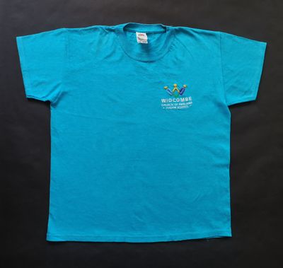Boys school tshirt (widcombe)