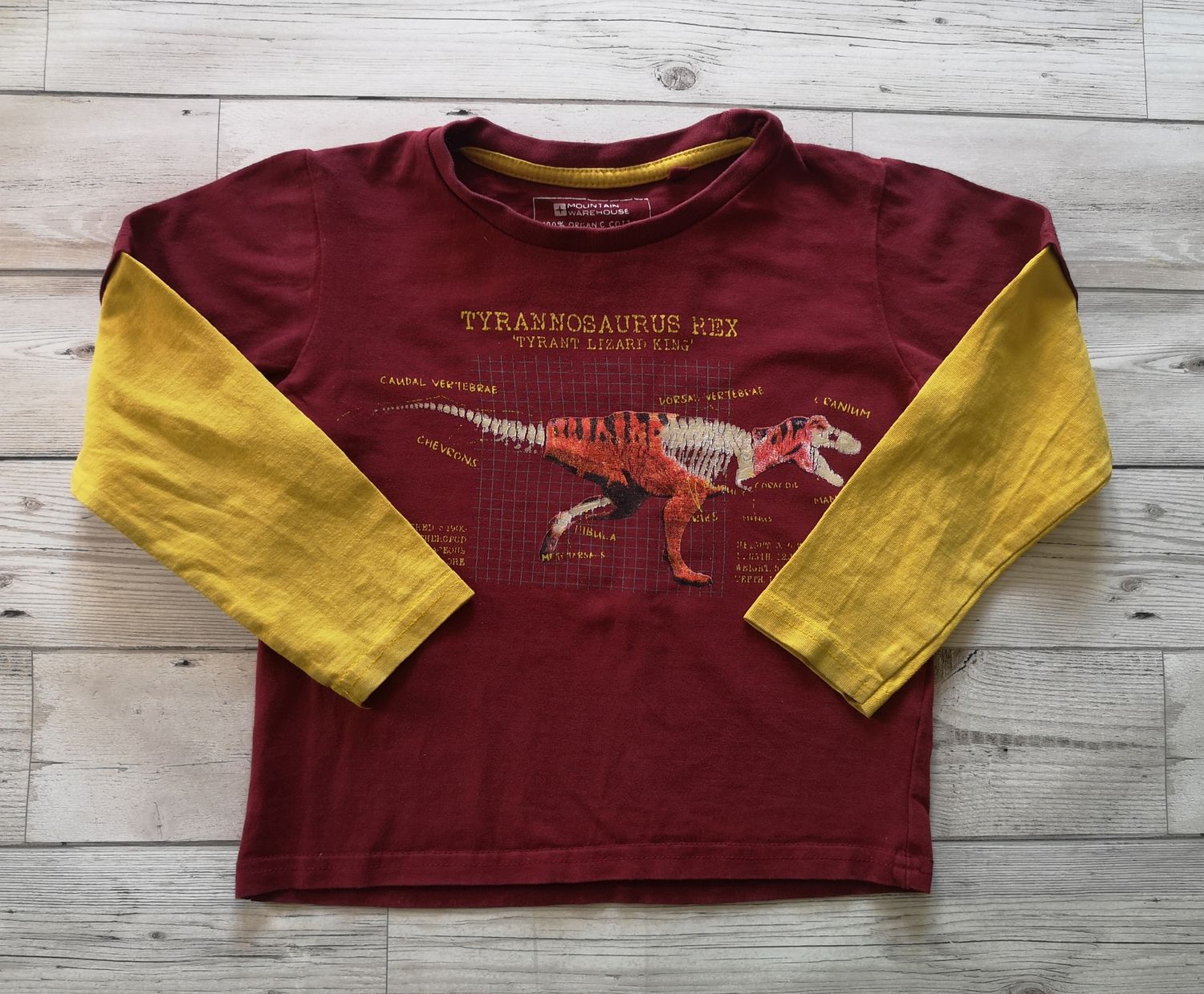 Boys long sleeved top (mountain warehouse)