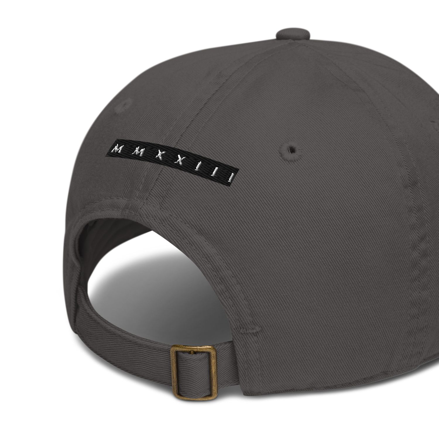 Bio-Dad Hat