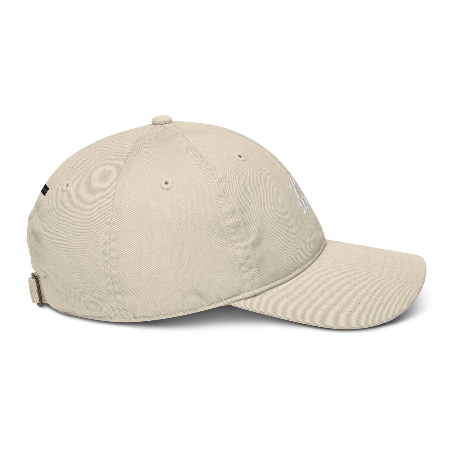 Bio-Dad Hat