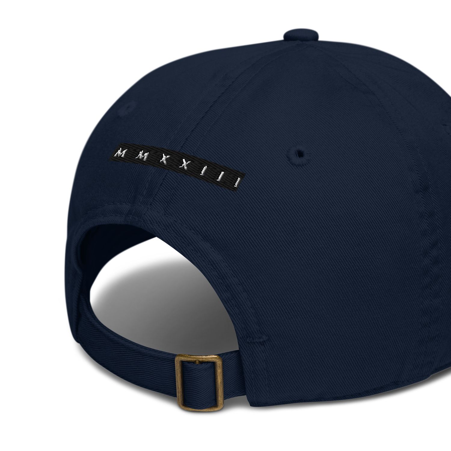 Bio-Dad Hat