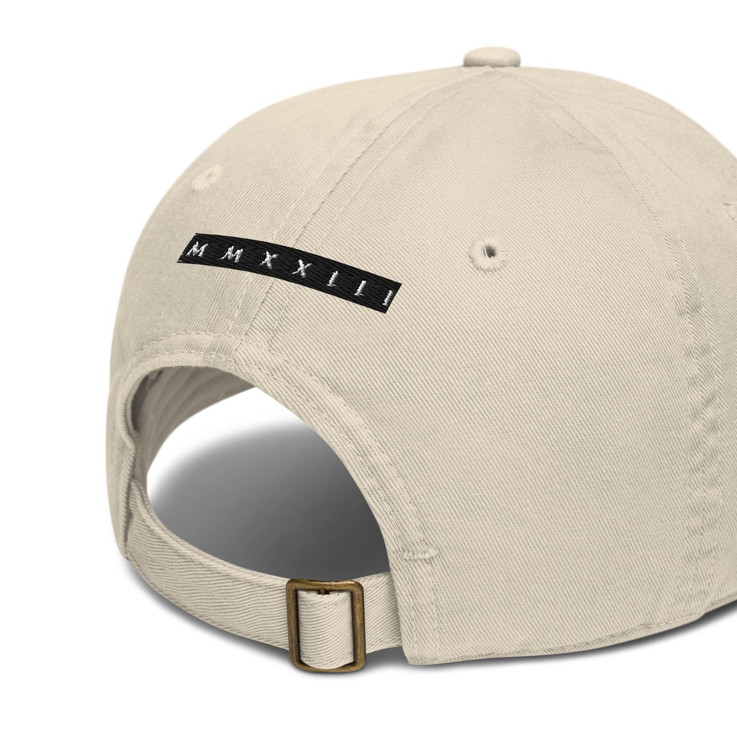 Bio-Dad Hat