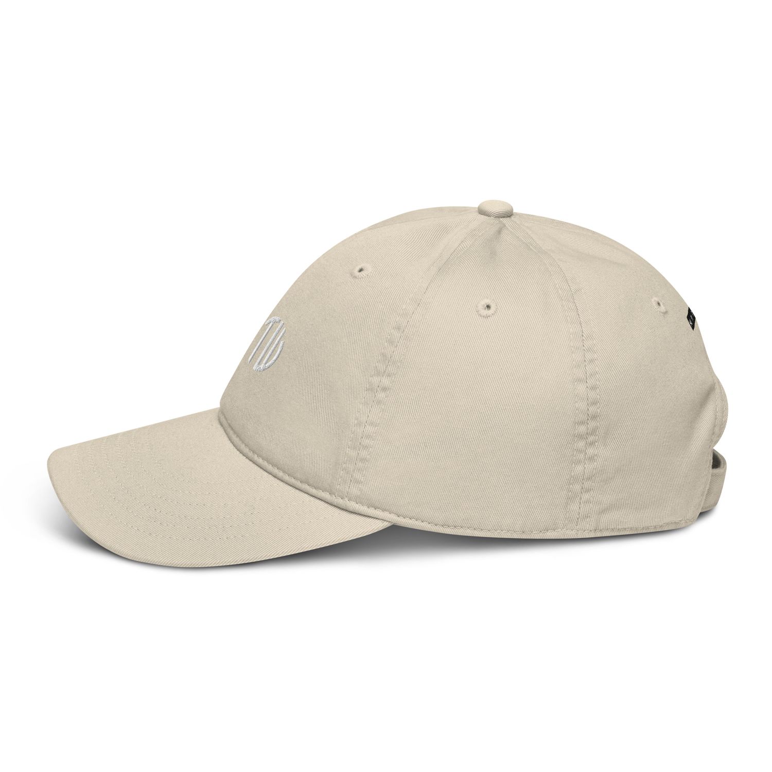 Bio-Dad Hat