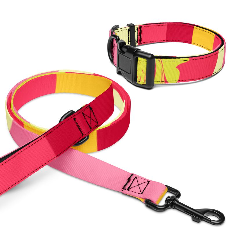 Halsband und Leine für Tiere