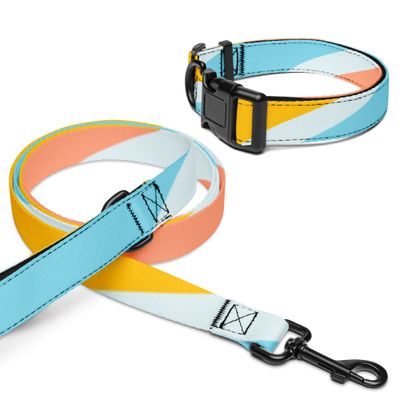 Halsband und Leine für Tiere