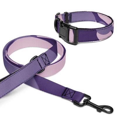 Halsband und Leine für Tiere