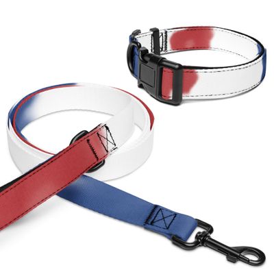 Halsband und Leine für Tiere