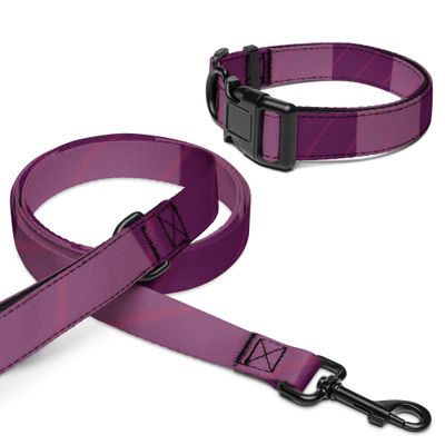 Halsband und Leine für Tiere