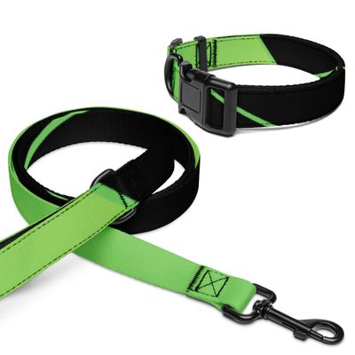 Halsband und Leine für Tiere