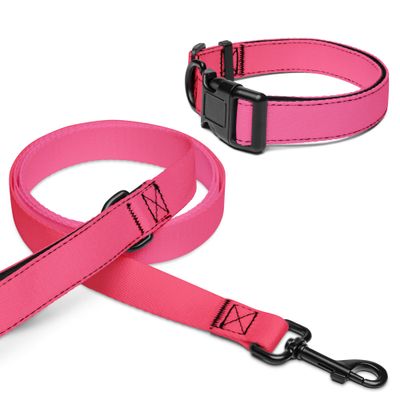 Halsband und Leine für Tiere