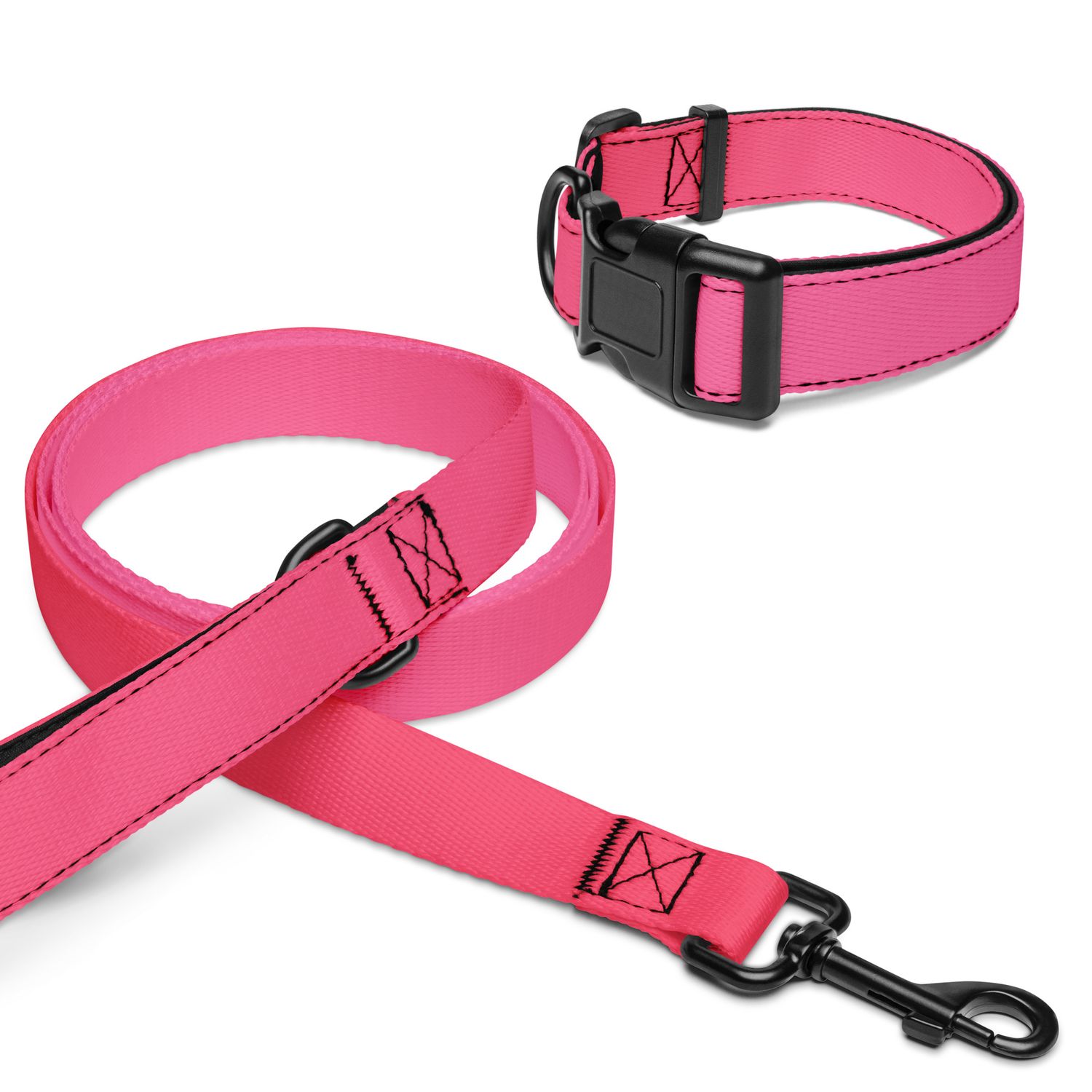 Halsband und Leine für Tiere