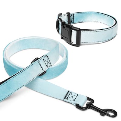 Halsband und Leine für Tiere