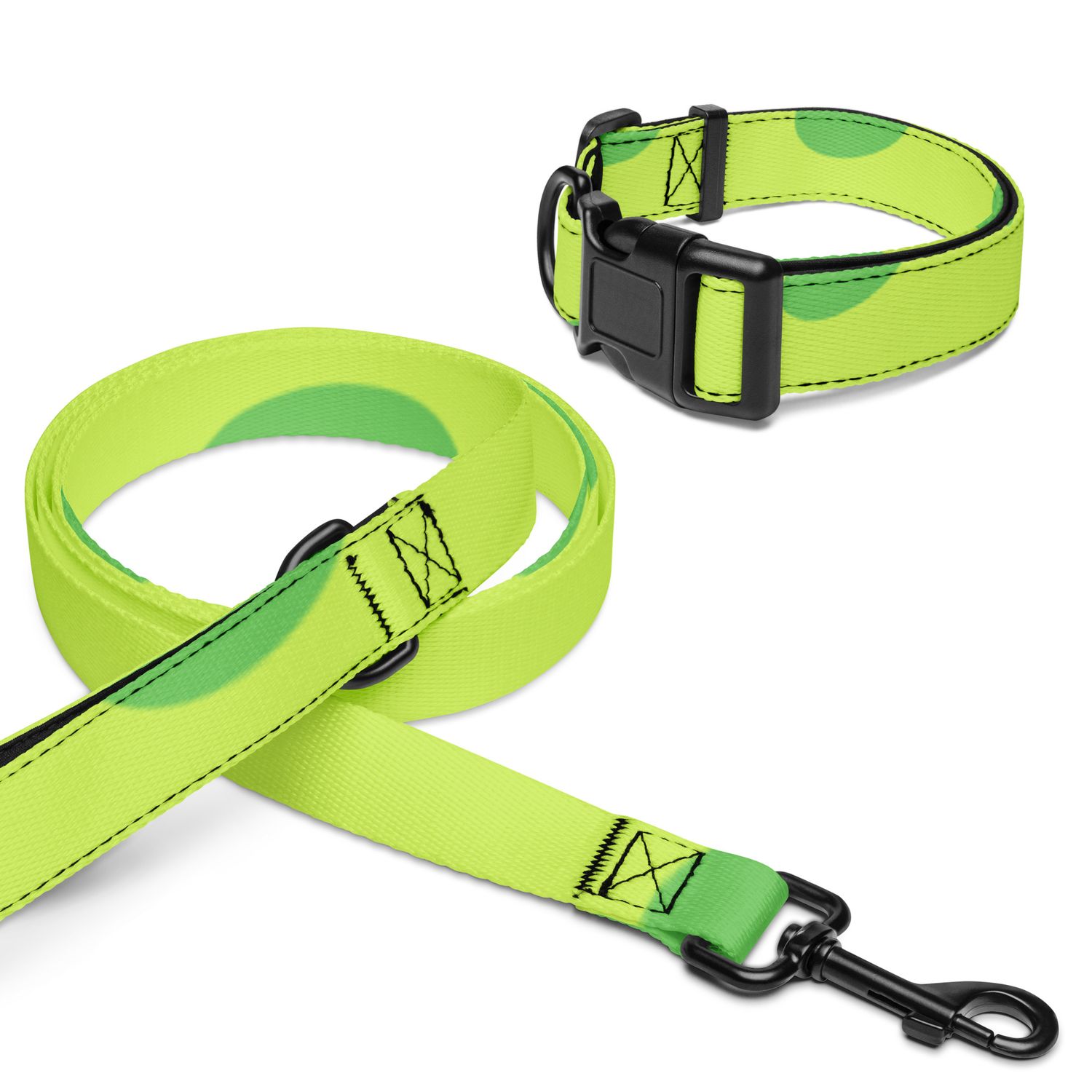 Halsband und Leine für Tiere