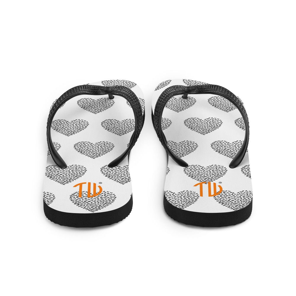 Flip-Flops