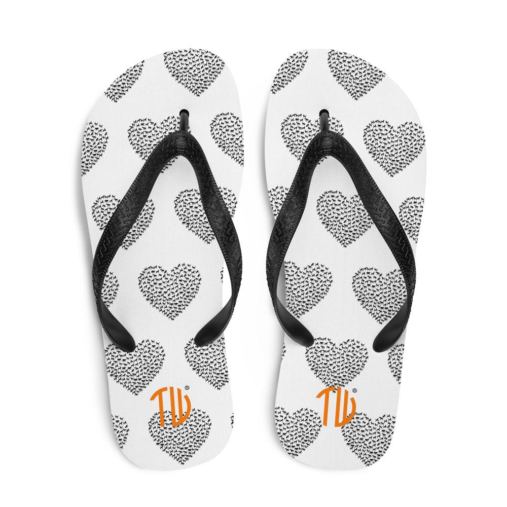 Flip-Flops