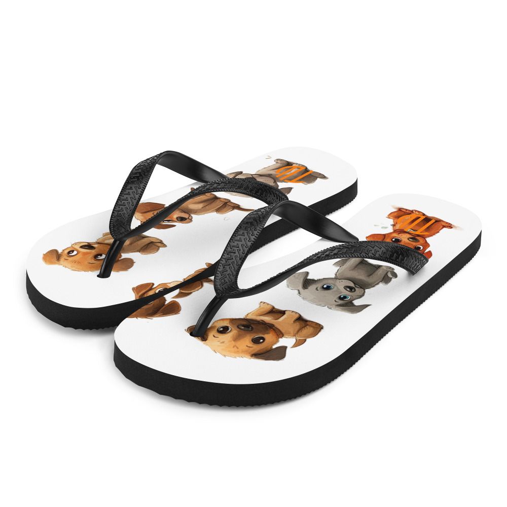 Flip-Flops