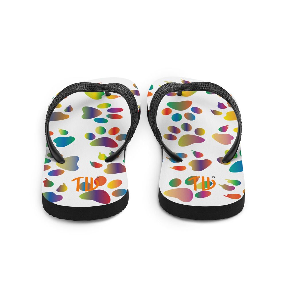 Flip-Flops