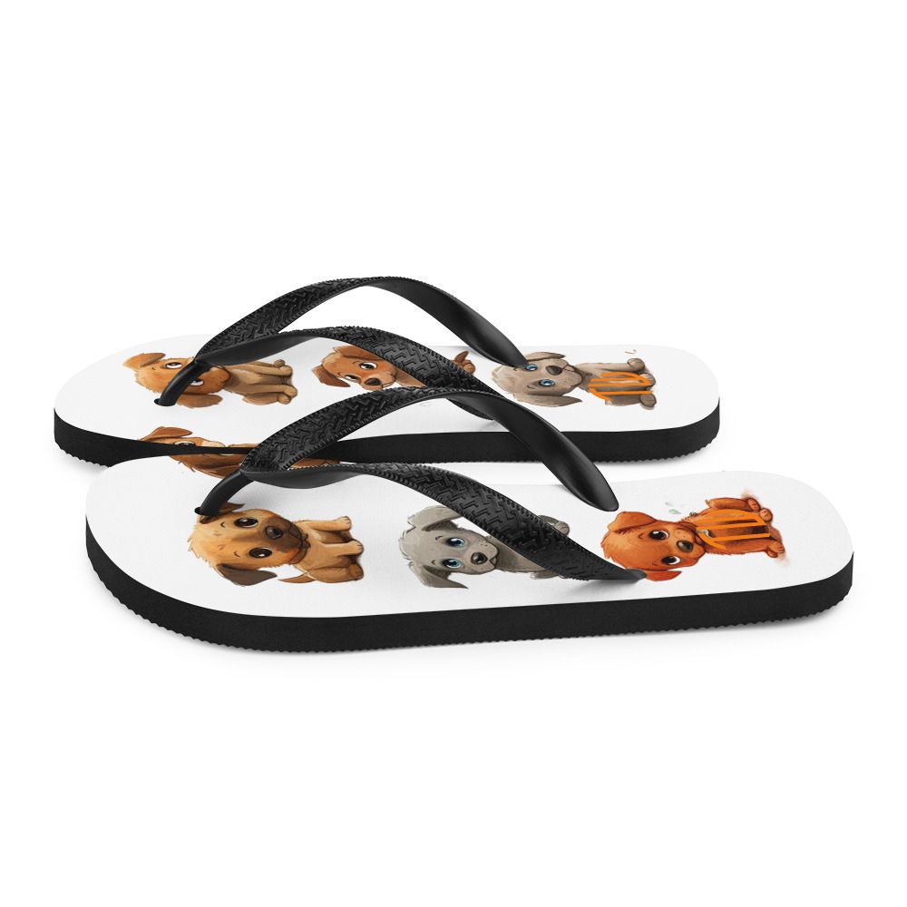 Flip-Flops