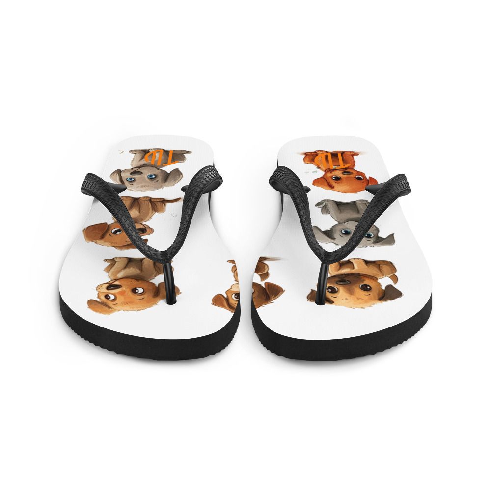 Flip-Flops