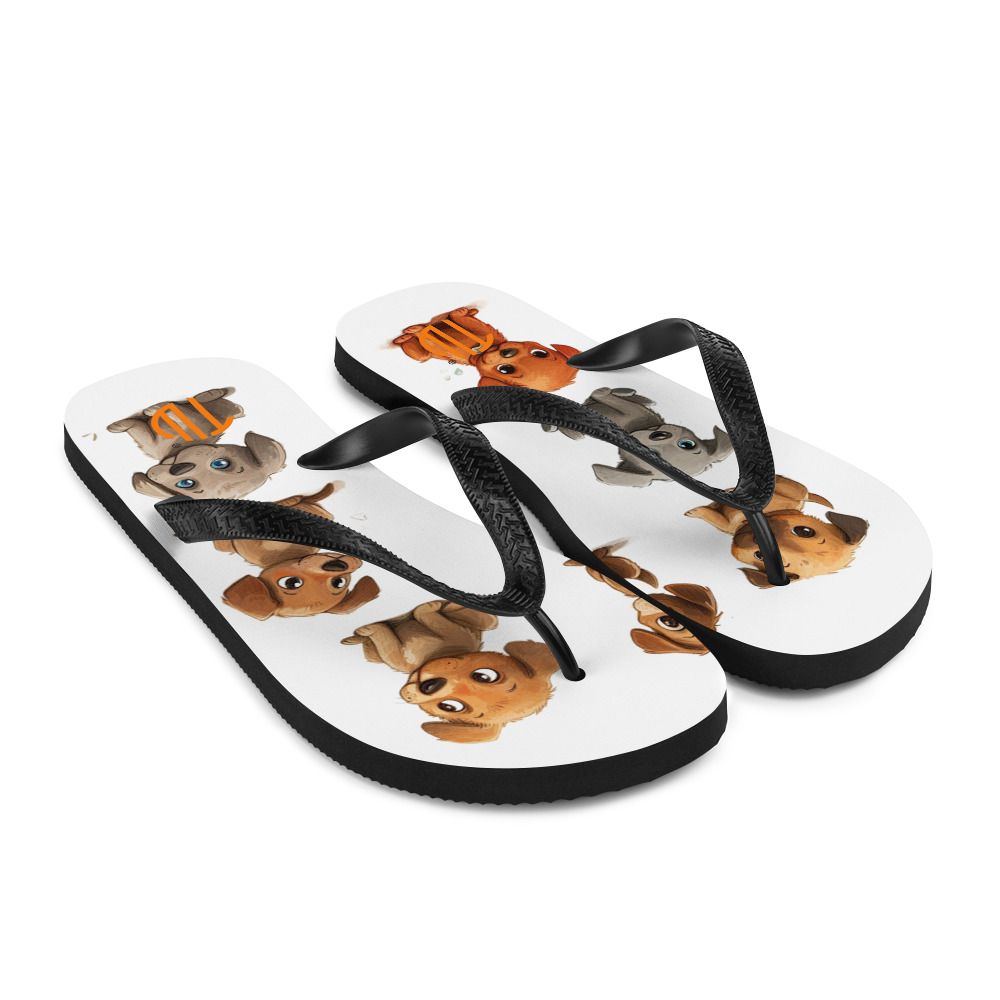 Flip-Flops