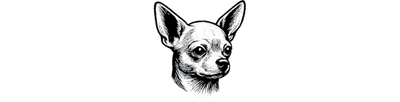 ◇ Club Chihuahua