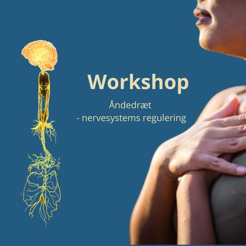 Workshop - Nervesystemsregulering og åndedrætstræning for begyndere ONLINE eller på klinik i Svendborg