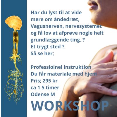 Workshops for åndedræt, Vagusnerven og nervesystemsregulering